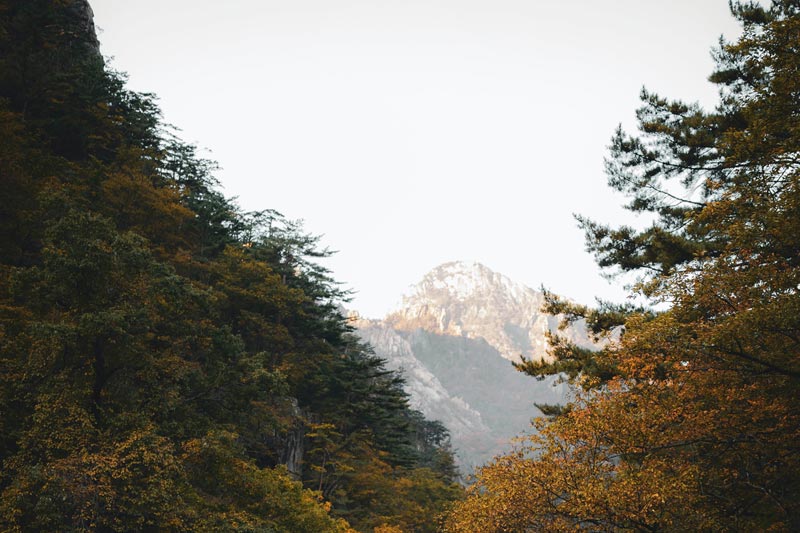 做B2B電子商務(wù)網(wǎng)站對(duì)企業(yè)有什么好處