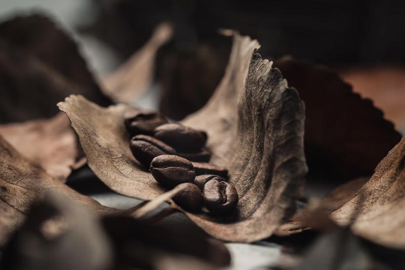 為什么企業(yè)做的網(wǎng)站沒有效果