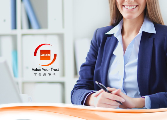陽(yáng)光技術(shù)服務(wù)（香港）有限公司