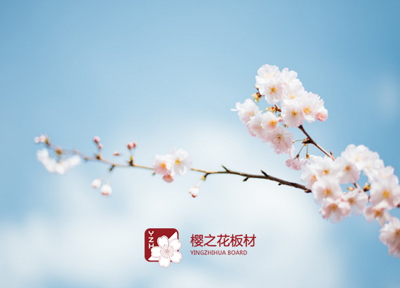 櫻之花（生活美）商城